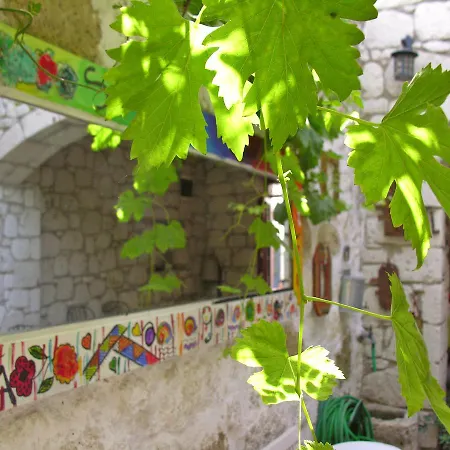 Bed & Breakfast Salyangoz 3*