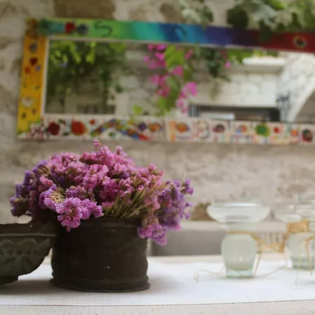 Salyangoz Bed & Breakfast