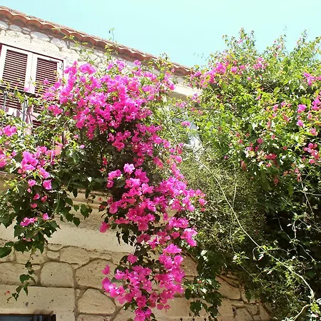 Salyangoz Bed & Breakfast
