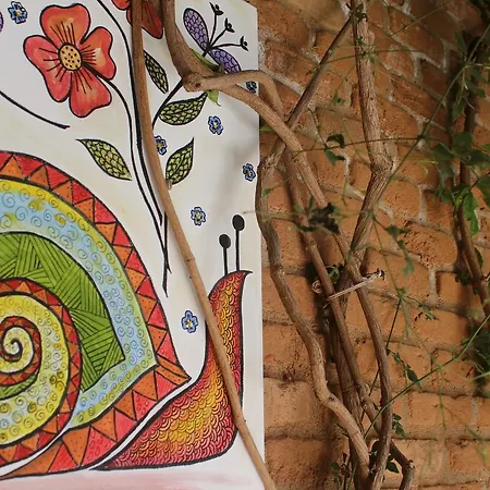 Salyangoz Bed & Breakfast Alaçatı